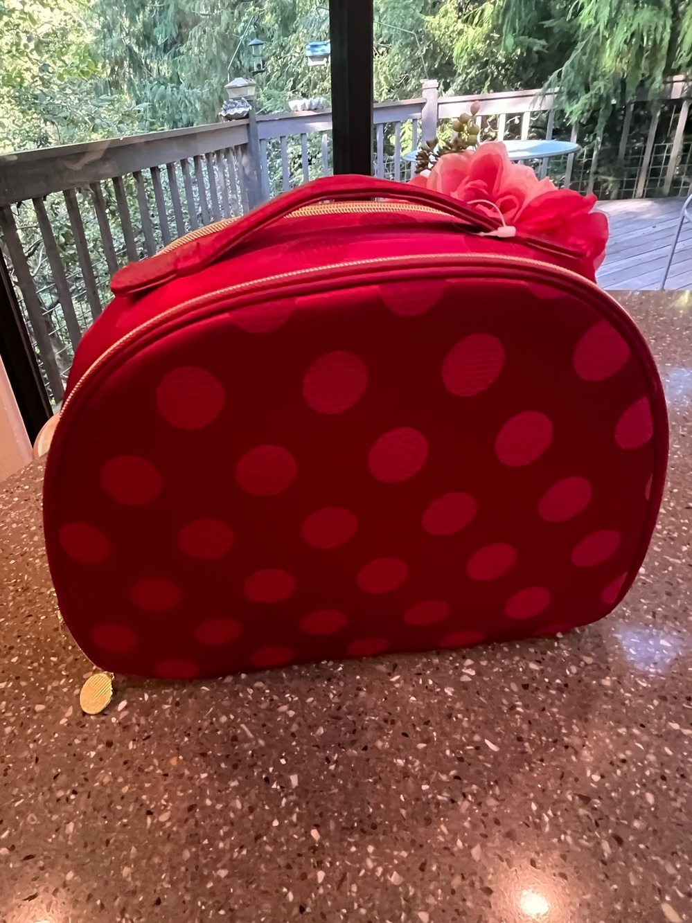 Red Polka Dot Women's Cosmetic Travel Bag
